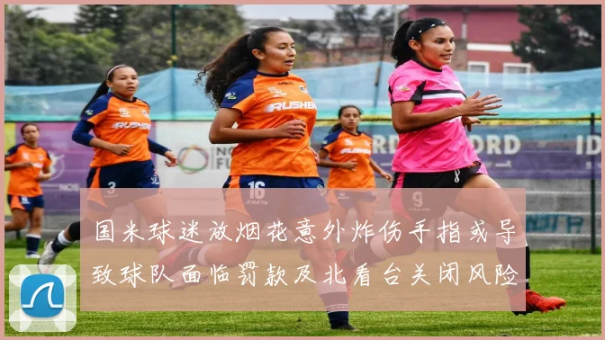 国米球迷放烟花意外炸伤手指或导致球队面临罚款及北看台关闭风险